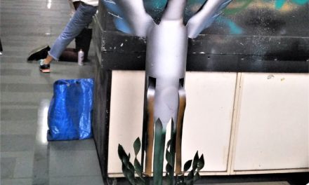 Final Assignment: PVC Pipe Bird Sculpture