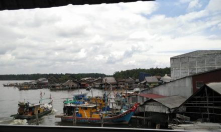 Things To Do At Kuala Sepetang